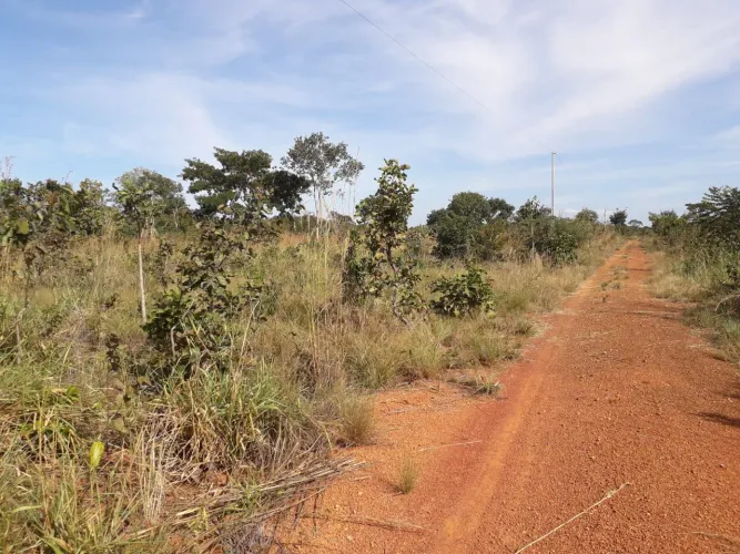 Fazenda 1.420 hect em livramento MT. Cerrado bruto baixo planta 700hec 31.240.000