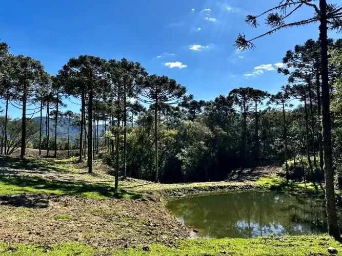 chácara em Urubic-SC, Santa Tereza, 2 hectares à venda