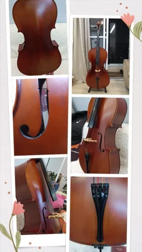 Violoncelo Eagle C300