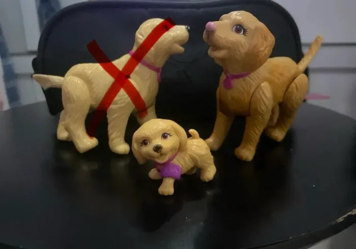 Cachorro Barbie piscina 