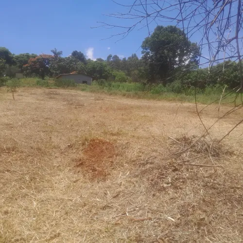 Terreno com área verde em ótima localização