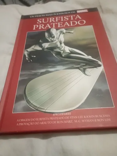 Hq Surfista Prateado 