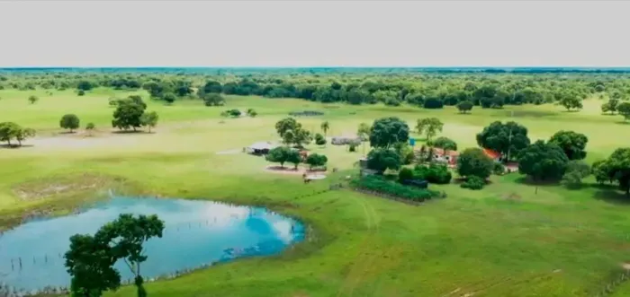 COD529- FAZENDA A VENDA COM 25.000 HECTARES NO PANTANAL / MS