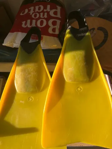 As nadadeiras ou "pés de pato"