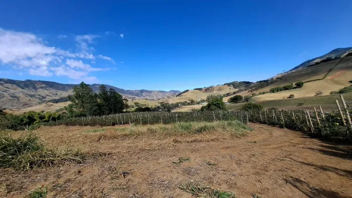 Terreno 3,60 Hectares, Itajubá MG 