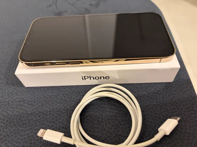 iPhone 13 Promax