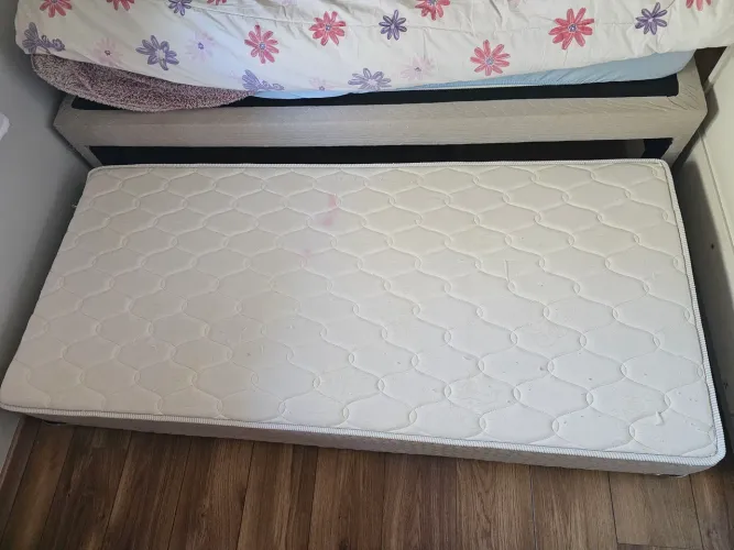Bicama box solteiro suede