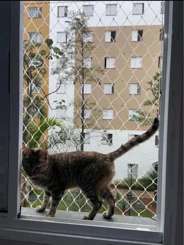 Redes de proteção para pets e crianças