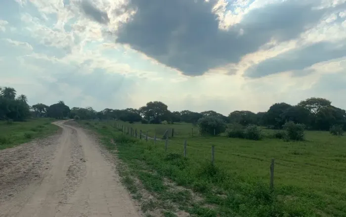 COD537- FAZENDA DE 1.540 HECTARES Á VENDA EM CORUMBÁ/MS