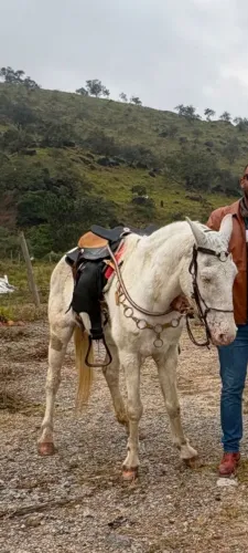 Egua mansinha para criança