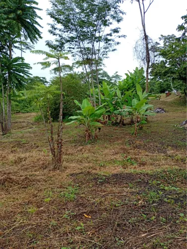 Chácara a venda ramal novo horizonte 