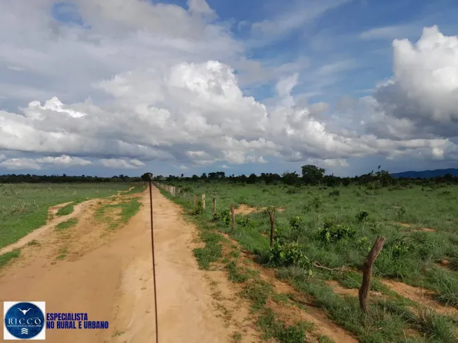 FAZENDA À VENDA EM ARAGUAÇU/TO 125 ALQUEIRES