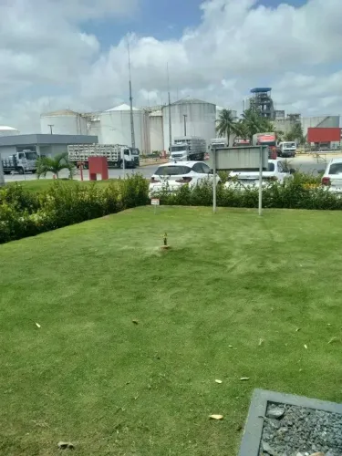 Serviços de Jardinagem 