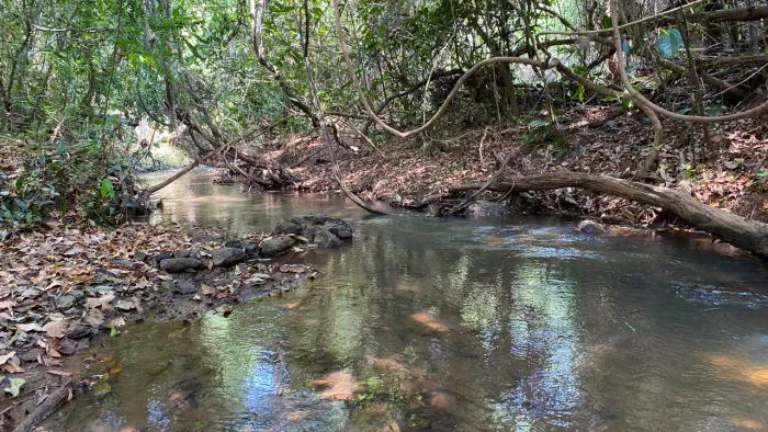 Chácara de meio alqueire em bela vista com Ribeirão no fundo!