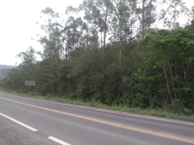 Venda de Área em Nova Hartz-RS, bairro Zona Rural