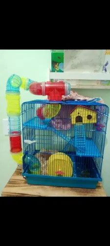 Gaiola para Hamster - 2 andares