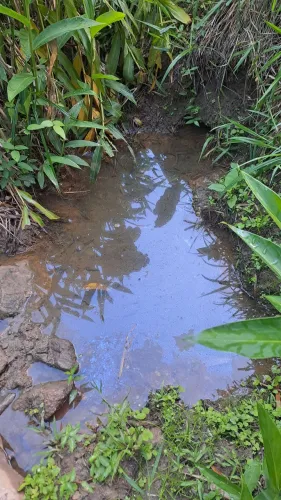 Terreno  43 mil metros quadrados 
