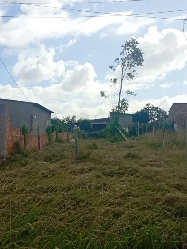 Terreno