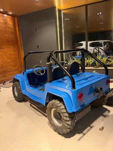 Fapinha Jeep Adventure Mini Buggy Bugre