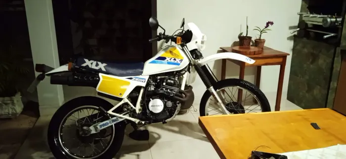 XLX 250R