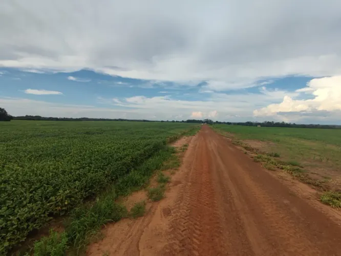 Linda Fazenda no Norte do Tocantins