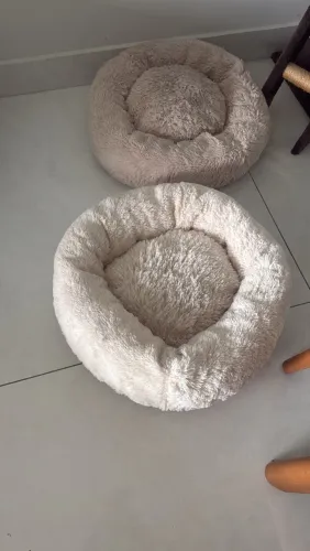 Pet acessório