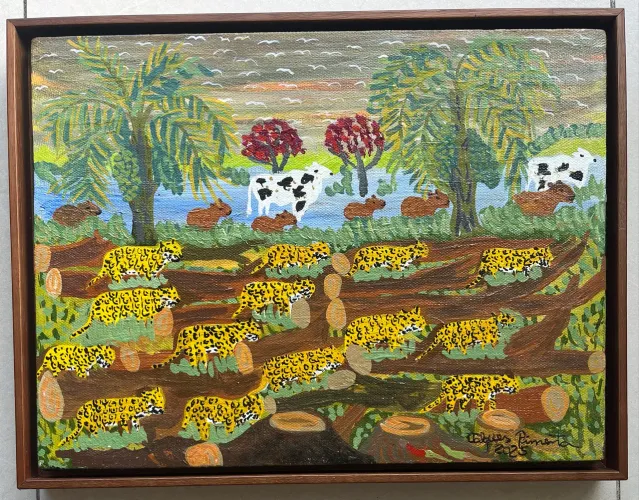 Valquez Pimenta : Derrubada no Pantanal