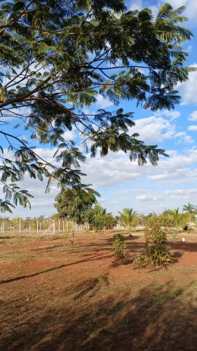 OPORTUNIDADE Vendo ou Troco por Carro ou Moto Chácara 1.347 m2 Tenda dos Morenos