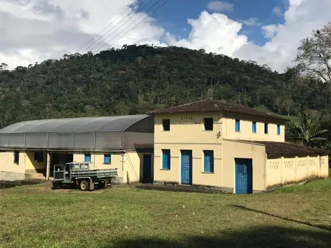 VENDO FAZENDA COM 96 HECTARES DE CACAU E PECUÁRIA NO SUL DA BAHIA