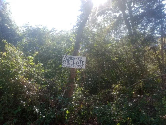 Ponte do Grego
