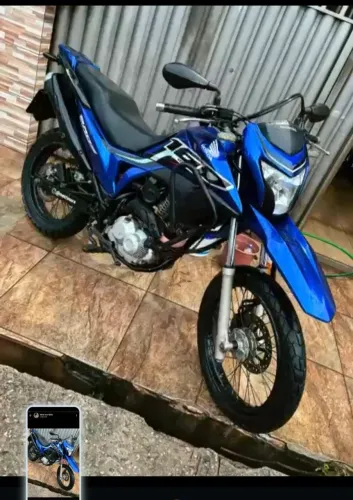 Vendo esta linda bros