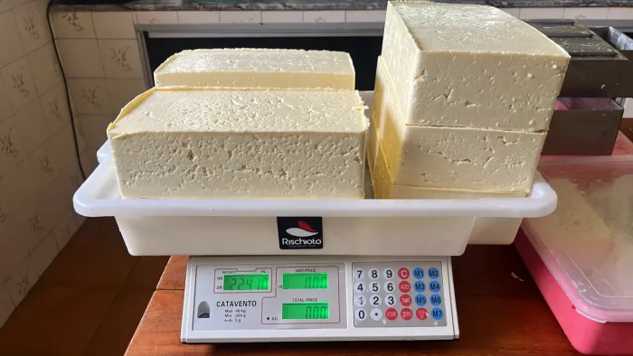 Queijo coalho 
