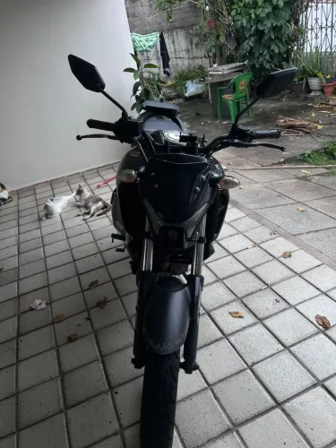 Fazer 15