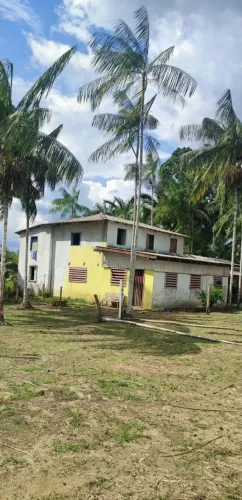 Sitio na estrada de Autazes, rodovia Am254.