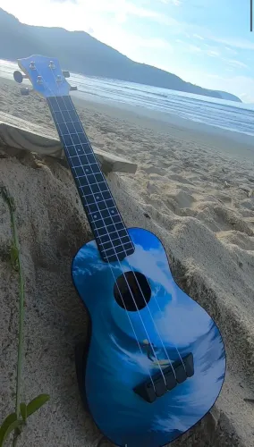 Ukulele Flight - Impecável