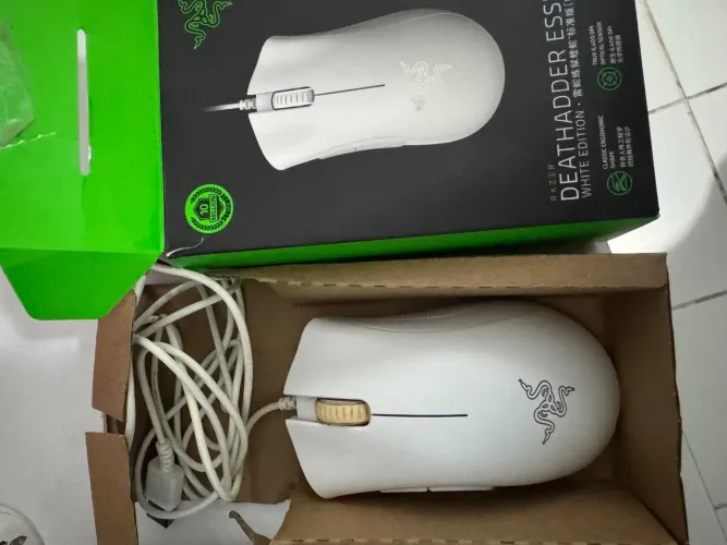 Mouse 