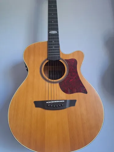 Violão Strinberg