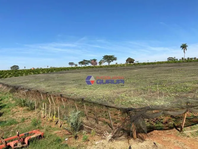 Área à venda, 15 m² por R$ 3.510.000,00 - Zona Rural - Jales/SP