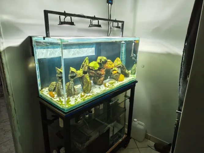 Aquário 200L