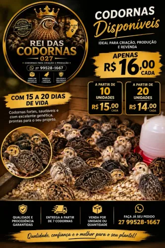 CODORNAS DISPONÍVEIS PARA CRIAÇÃO E PRODUÇÃO