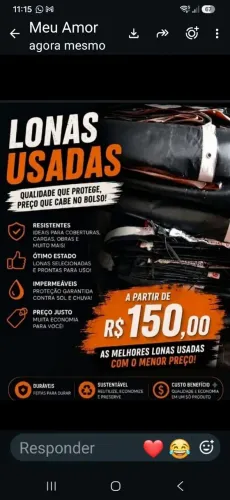 Lonas de autidor 
