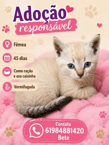Gata