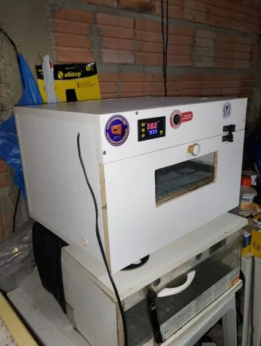 Chocadeira incubadora 