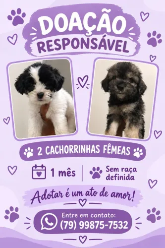 Pets doação