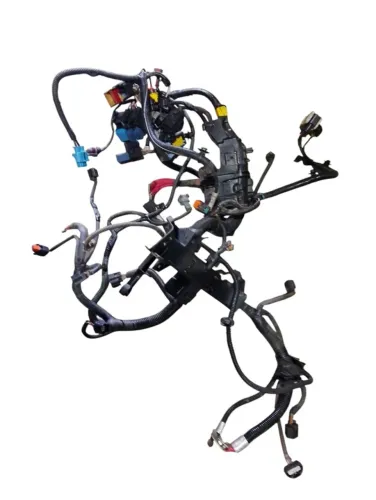 Chicote Injeção Do Motor Renault Sandero Rs 2.0 2020 2021