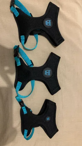 lotinho roupas, peitoral e vasilhame de cachorro 