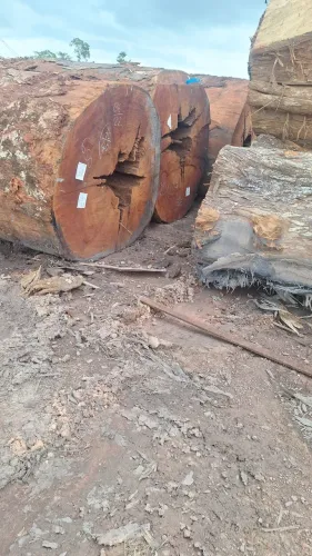 Madeiras rústica