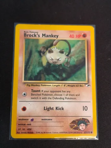 Coleção Pokémon Líderes de Ginásio - Vintage 1999/2000 WotC