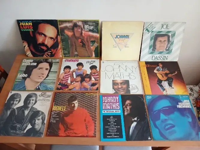 Lote de LPs Vinil variados XIII