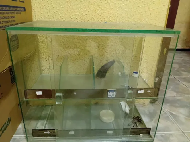 Bomboniere em perfeito estado de conservação.
